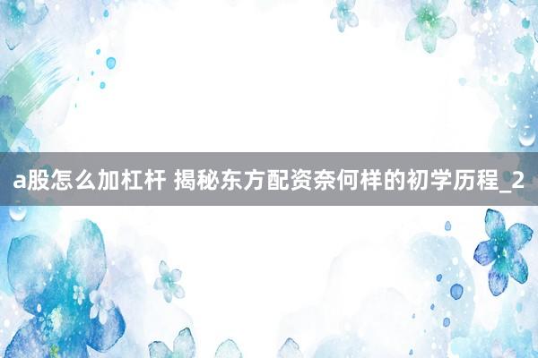 a股怎么加杠杆 揭秘东方配资奈何样的初学历程_2